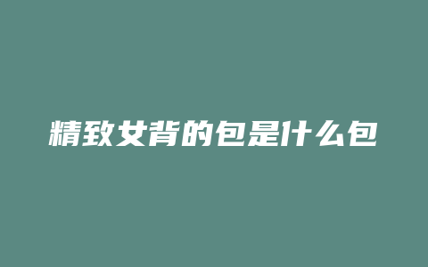精致女背的包是什么包
