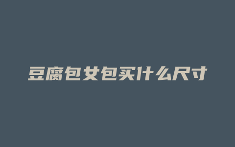 豆腐包女包买什么尺寸
