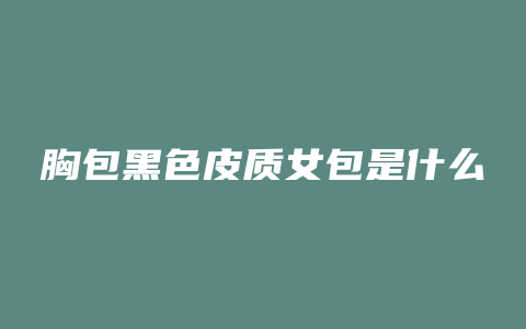 胸包黑色皮质女包是什么