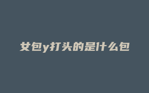 女包y打头的是什么包