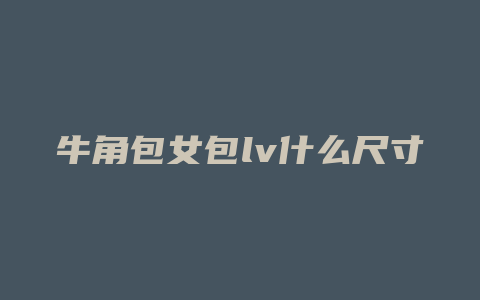 牛角包女包lv什么尺寸