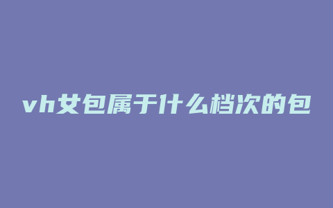 vh女包属于什么档次的包