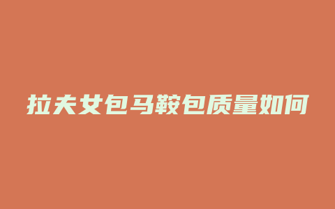 拉夫女包马鞍包质量如何
