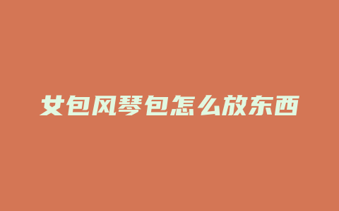 女包风琴包怎么放东西
