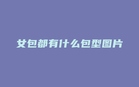 女包都有什么包型图片