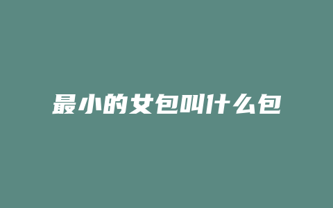 最小的女包叫什么包