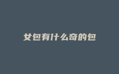 女包有什么奇的包