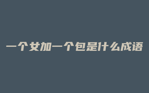 一个女加一个包是什么成语