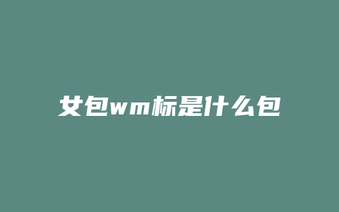 女包wm标是什么包