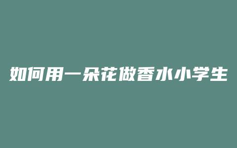 如何用一朵花做香水小学生