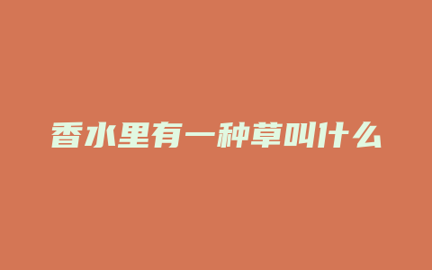 香水里有一种草叫什么