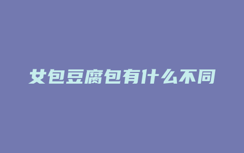 女包豆腐包有什么不同