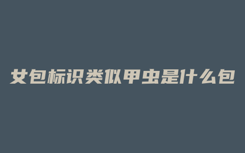 女包标识类似甲虫是什么包