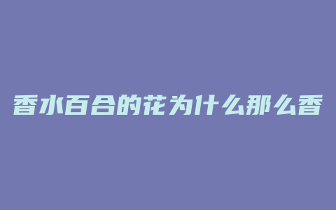 香水百合的花为什么那么香