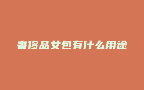 奢侈品女包有什么用途