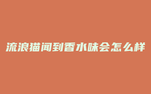 流浪猫闻到香水味会怎么样