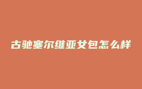 古驰塞尔维亚女包怎么样