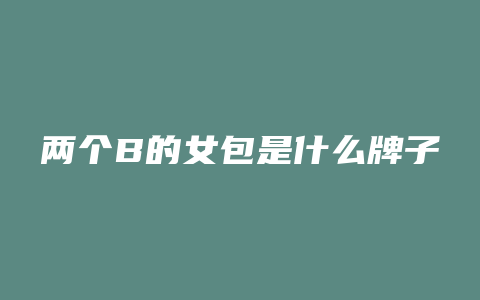两个B的女包是什么牌子