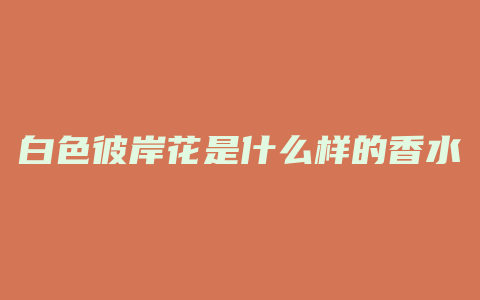 白色彼岸花是什么样的香水