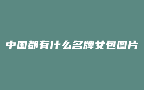 中国都有什么名牌女包图片