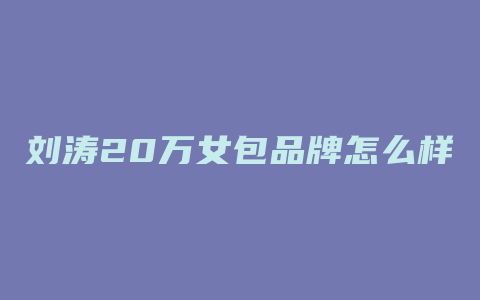 刘涛20万女包品牌怎么样