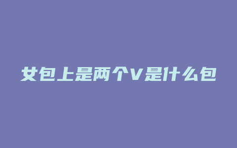 女包上是两个V是什么包