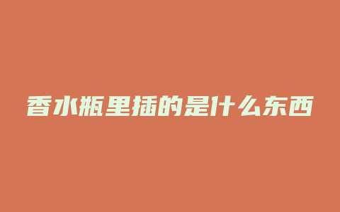 香水瓶里插的是什么东西