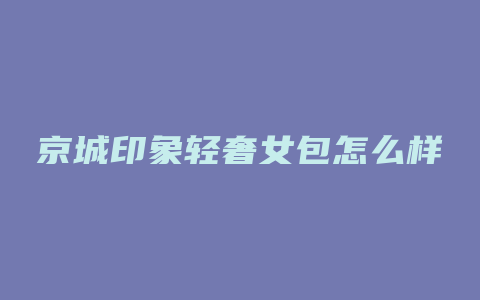 京城印象轻奢女包怎么样