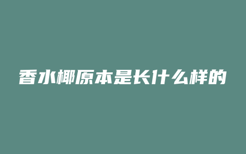 香水椰原本是长什么样的
