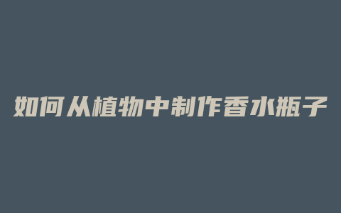 如何从植物中制作香水瓶子