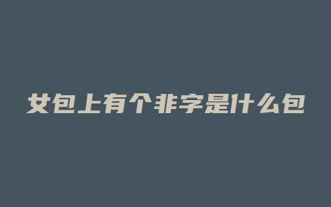 女包上有个非字是什么包