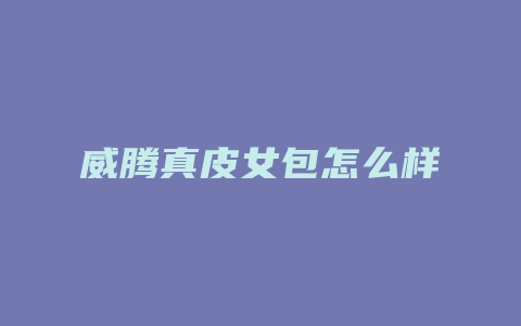 威腾真皮女包怎么样