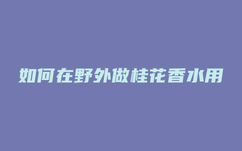 如何在野外做桂花香水用