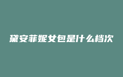 黛安菲妮女包是什么档次