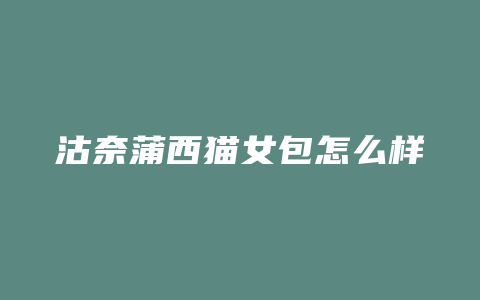 沽奈蒲西猫女包怎么样