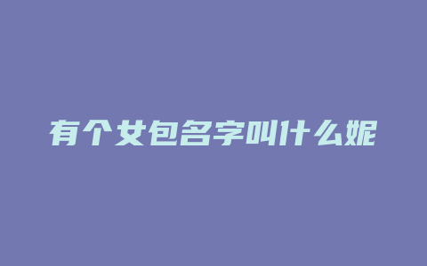 有个女包名字叫什么妮