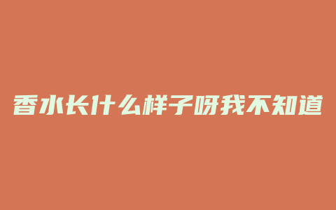 香水长什么样子呀我不知道