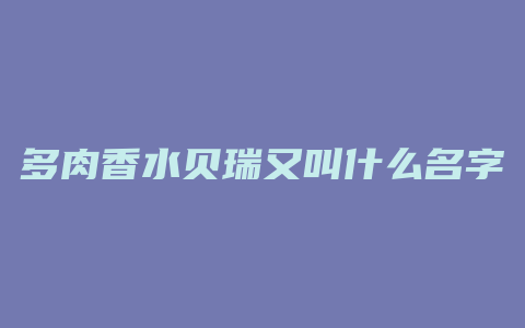 多肉香水贝瑞又叫什么名字