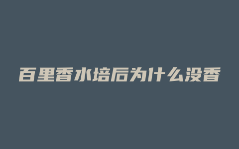 百里香水培后为什么没香
