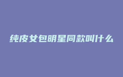 纯皮女包明星同款叫什么