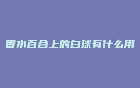 香水百合上的白球有什么用