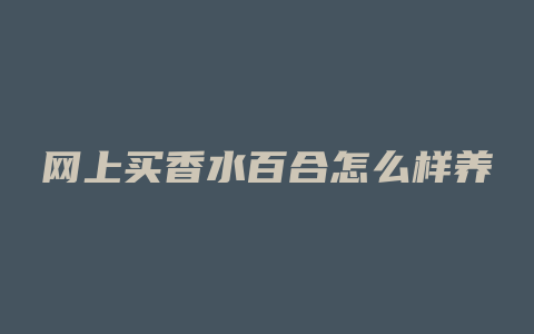网上买香水百合怎么样养