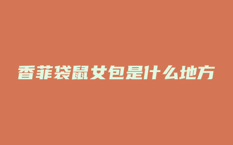 香菲袋鼠女包是什么地方