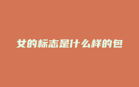 女的标志是什么样的包