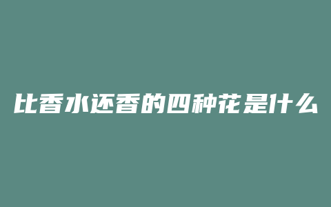 比香水还香的四种花是什么