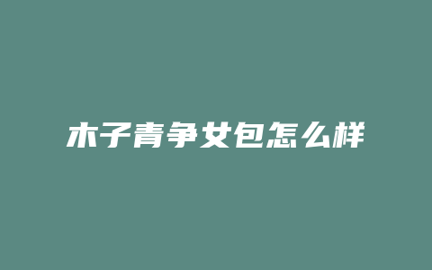 木子青争女包怎么样