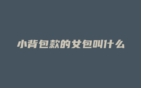 小背包款的女包叫什么