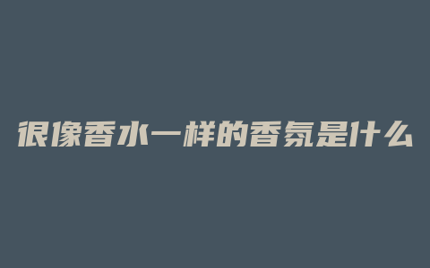 很像香水一样的香氛是什么