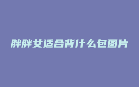 胖胖女适合背什么包图片