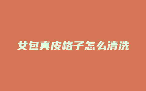 女包真皮格子怎么清洗